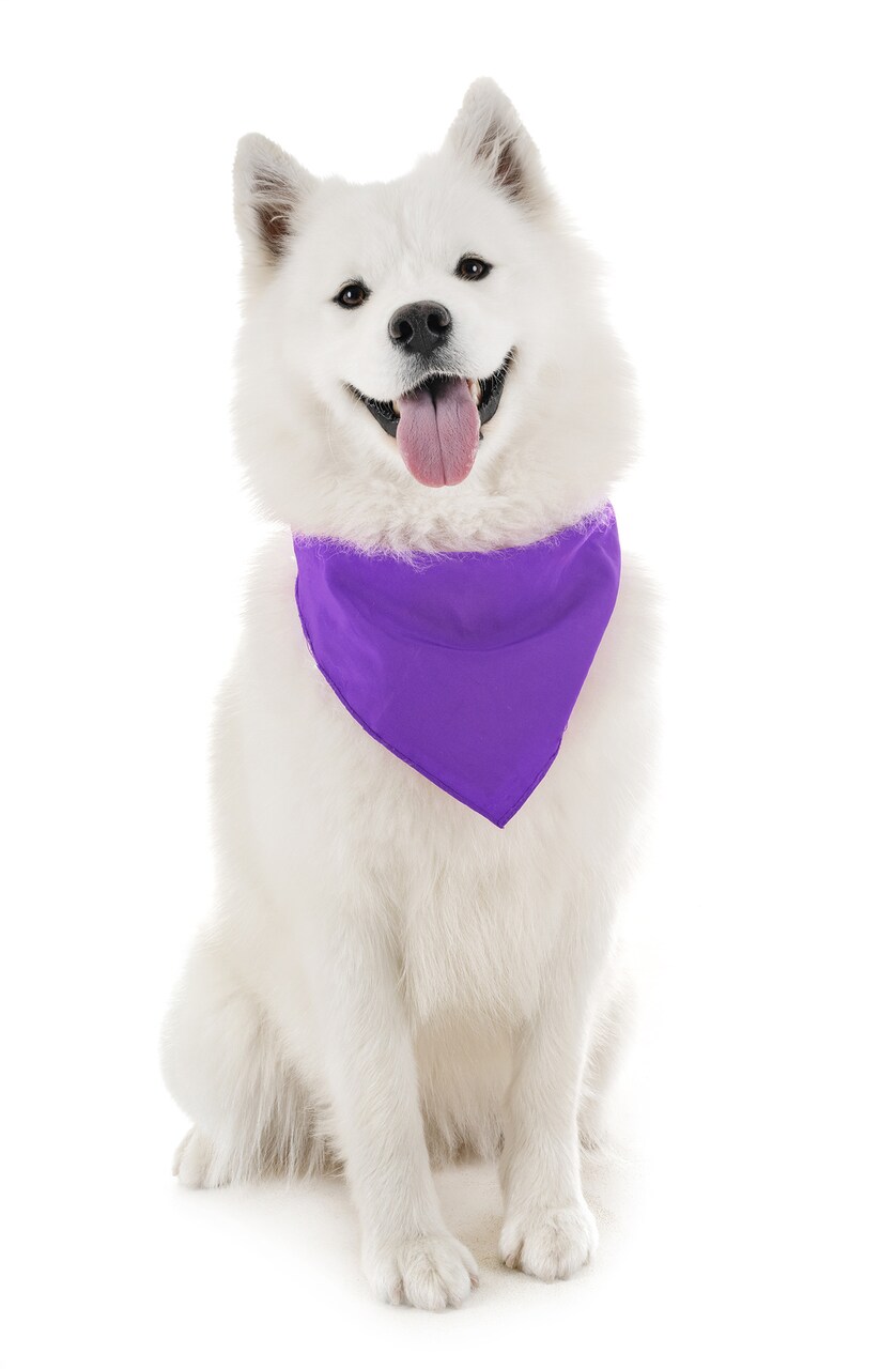 Dog Bandanas - 6 Pack - Scarf Triangle Bibs for Small, Medium and Large Puppies, Dogs and Cats